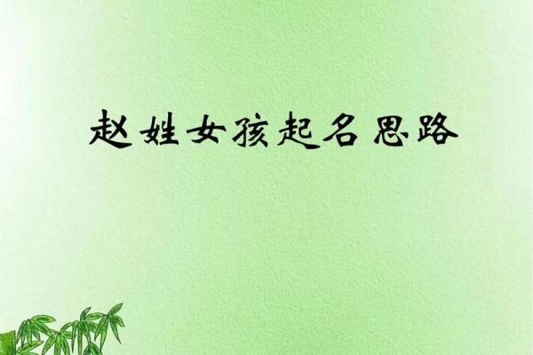 赵姓女孩名字的寓意与选名技巧