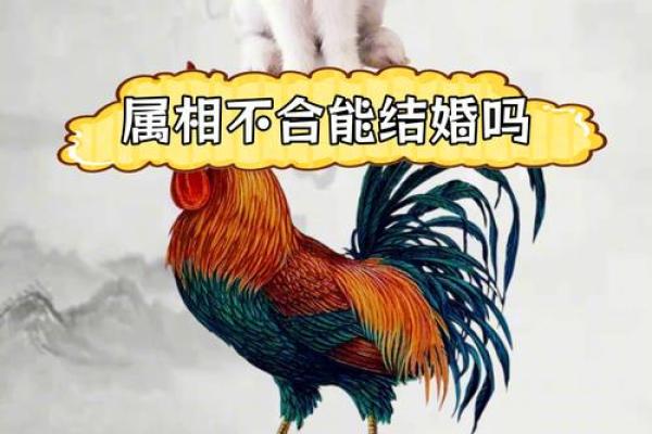 从马与鸡的婚姻看物种间的契合度