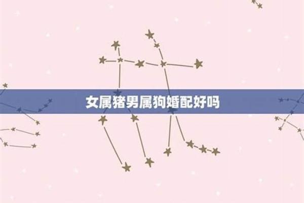 男属狗和女属猪的婚配解析：适合做夫妻吗