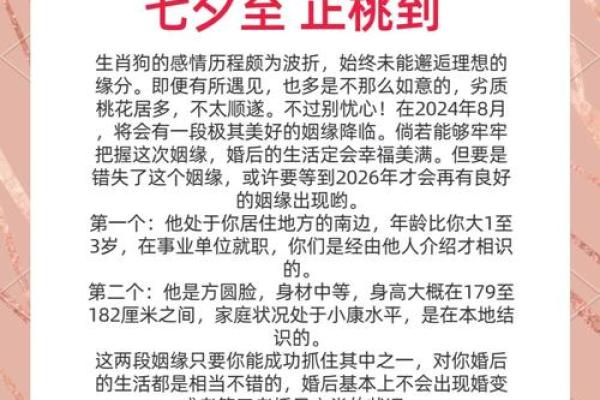 猪狗属相配对的婚姻运势分析
