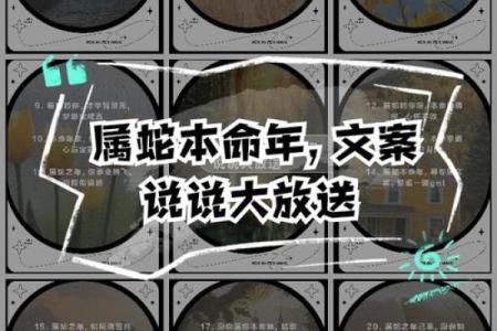 属蛇人本命年如何提升个人魅力