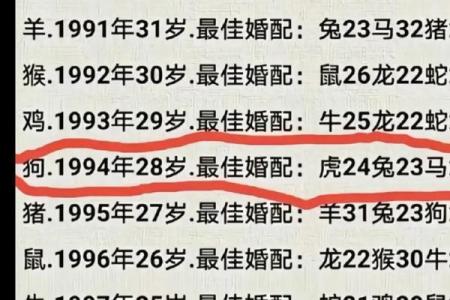 属兔和属鸡相配吗？深入剖析两者的缘分与挑战