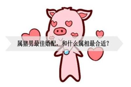 属猪女和属羊男的爱情兼容性分析