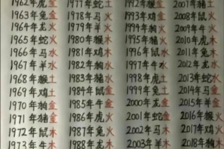 揭秘木兔之命的五行相生与相克