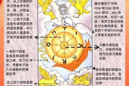 揭开荣贵命的神秘面纱与命运规律