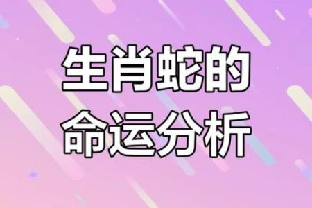 揭秘属命的定义与对个人命运的影响
