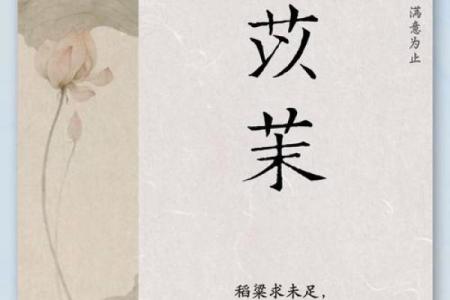 有白的名字：探寻独特而寓意深远的命名灵感