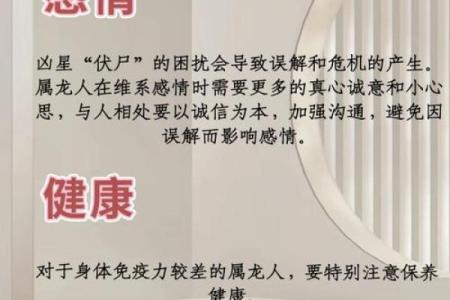 本命年属龙人如何安定家庭生活