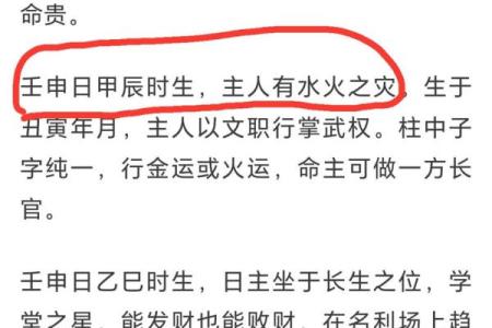 金命人的性格特点与命运解析