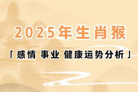 本命年属猴的职场生涯提升秘诀