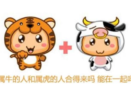 男牛和女牛配对的性别差异对养殖的影响