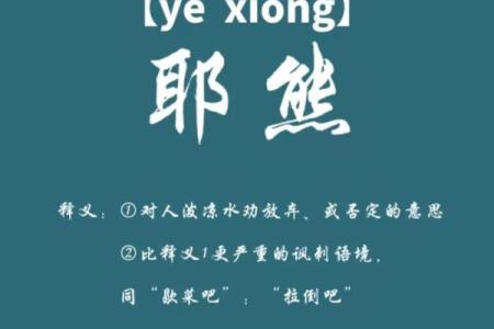 熊名字大全：最受欢迎的熊类名字推荐