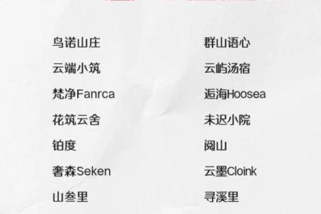 娱乐名字大全：创意十足的娱乐行业取名灵感
