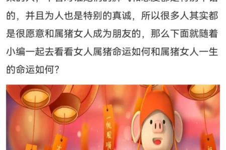 属猪与属牛的配对运势 如何增进彼此的幸福