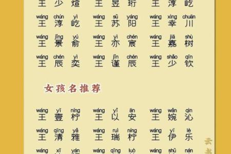 如何为王姓宝宝取一个响亮且有内涵的名字