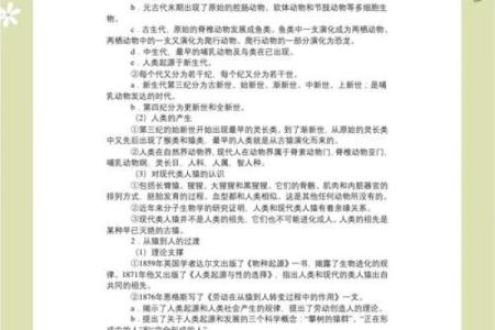 探索毕名字的历史渊源与发展