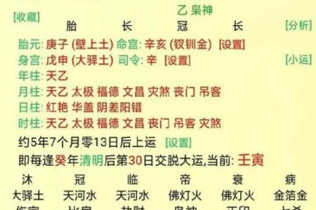 火鸡命在命理学中的地位与解读