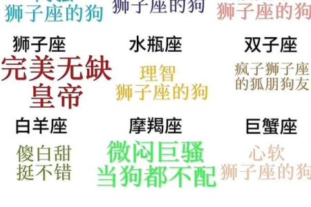 狗和猴的星座匹配度解析