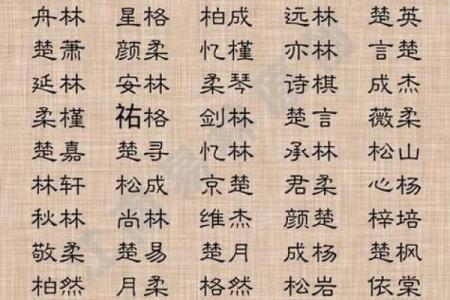 挑选男孩单字名字时需要注意的五大要素
