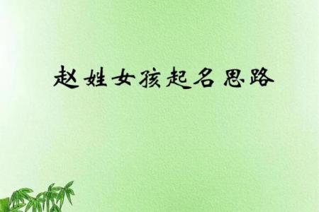 赵姓女孩名字的寓意与选名技巧