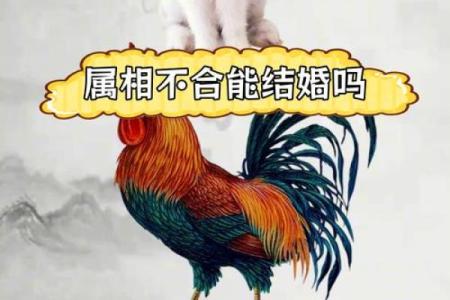 从马与鸡的婚姻看物种间的契合度