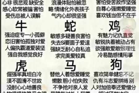 男属狗和女属猪的婚配解析：适合做夫妻吗