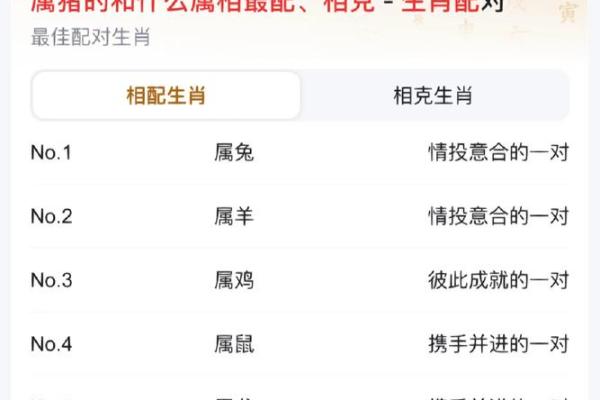 牛与猪的生肖配对分析