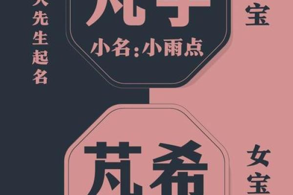 欣字取名推荐：为宝宝赋予独特魅力的名字