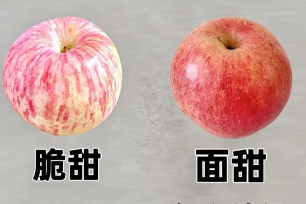 一站式水果名字大全，让你快速识别各类水果