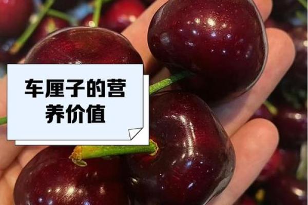 樱桃：一个小果实背后的大名字