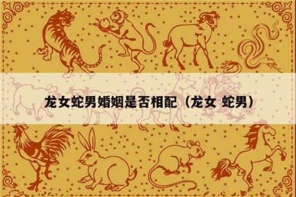 蛇男与猴女的配对分析 他们的相互吸引力有多强