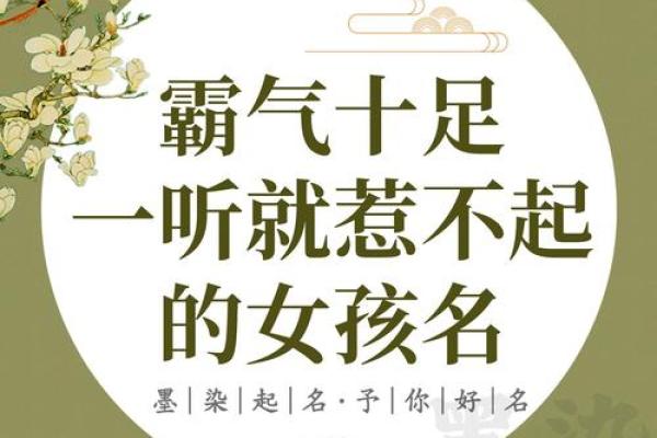 用“佳”字为女孩命名的五个理由