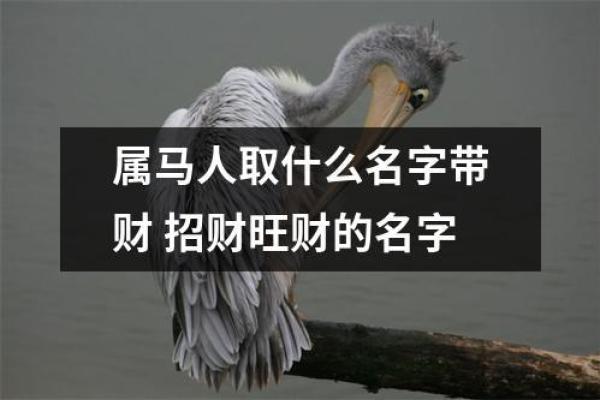 如何根据五行选择适合属马的名字