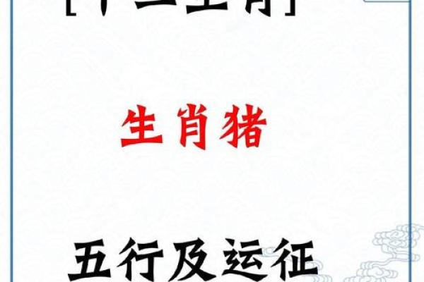 属猪本命年如何调整心态迎接挑战