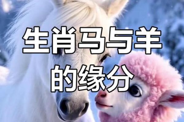 马相配：如何提升马年配对的和谐度