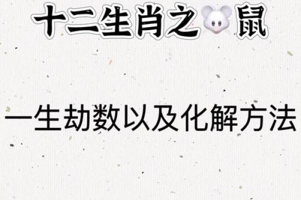 火鼠之命：命理中的火与鼠的独特组合