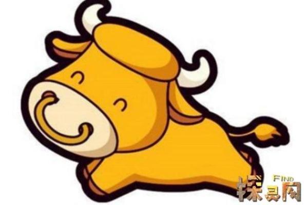 火鼠之命：命理中的火与鼠的独特组合