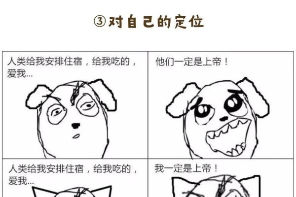 狗牛组合:性格差异与互补性 狗牛组合:性格差异与互补性