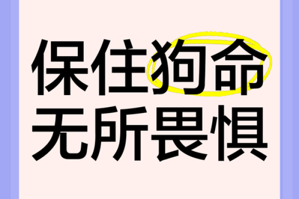 本命年狗女面临的挑战与机会 本命年狗女面临的挑战与机会