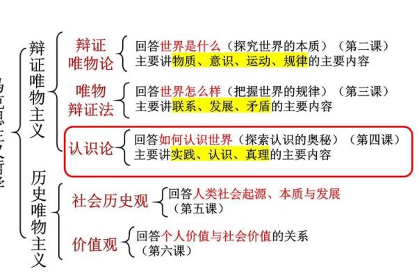 解析东西命：它背后的哲学与实践