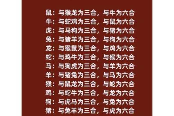 鸡猴配对的婚姻建议与相处之道