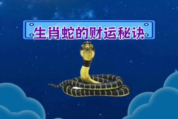 男属蛇女属鸡婚姻匹配度分析与建议