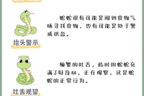 猪蛇配对的优缺点分析 猪蛇配对的优缺点分析
