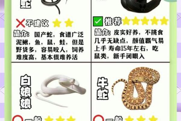 猪蛇配对的优缺点分析 猪蛇配对的优缺点分析