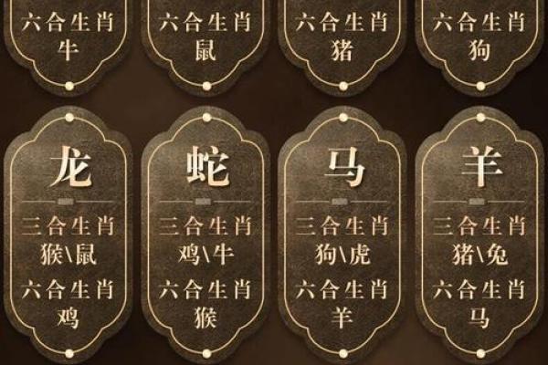 本命年马男与其他生肖的相合与相克 本命年马男与其他生肖的相合与相克