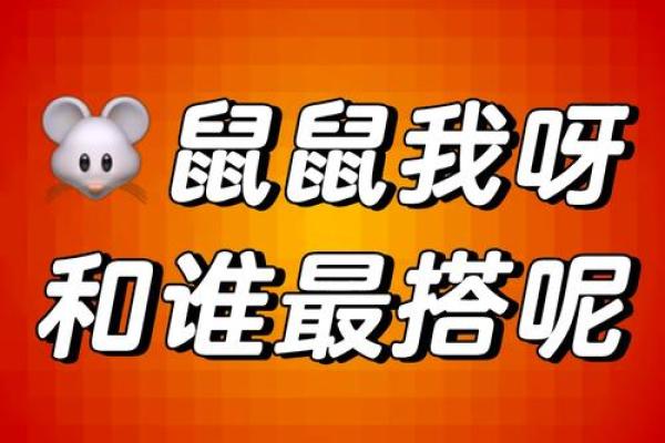 虎与鼠能否和谐共处?解密这对不常见的组合 虎与鼠能否和谐共处?解密这对不常见的组合