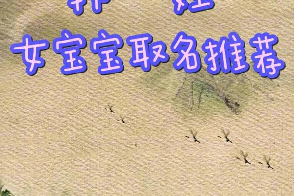 如何为韩国男孩取一个寓意深远的名字