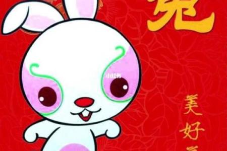 鼠兔配对如何增运 生肖相合带来的积极影响