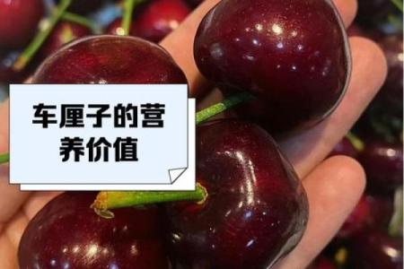 樱桃：一个小果实背后的大名字