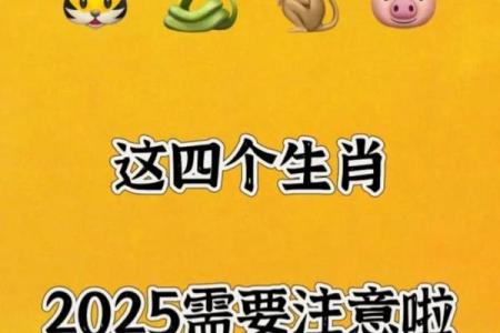 属虎与属猪的相处之道